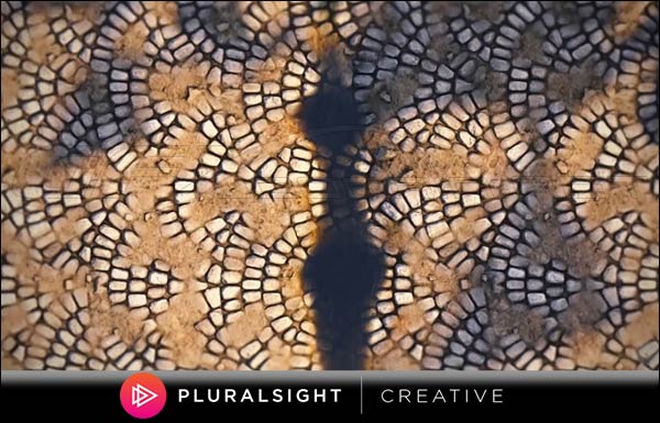 pluralsight tileable texture creation in zbrush